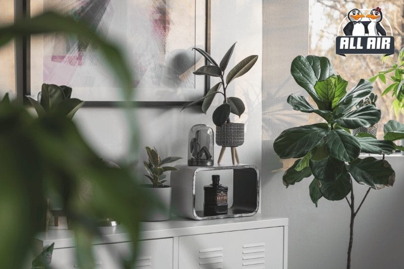 Smoke and fumes causing poor indoor air quality in home